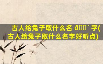 古人给兔子取什么名 🌴 字(古人给兔子取什么名字好听点)